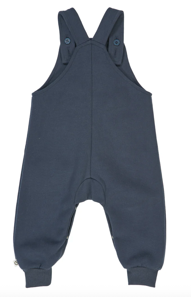 Backside view of Green Cotton Group navy blue overalls on a white background