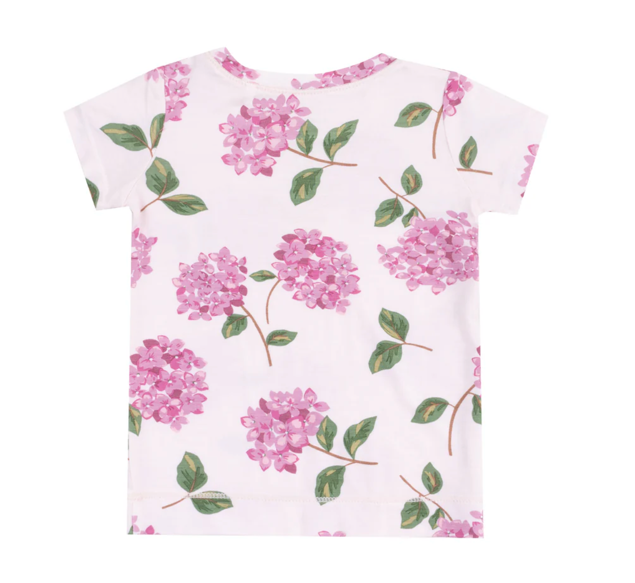 back of angel dear hydrangeas