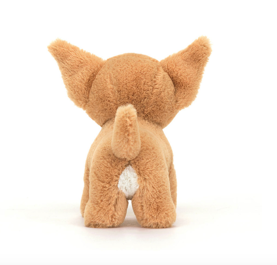 Back view Isobel Chihuahua Jelly Cat