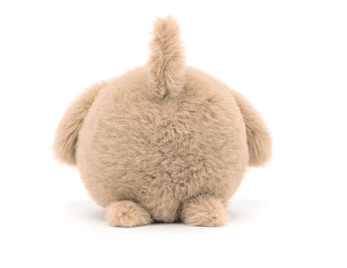 back view caboodle puppy jelly cats