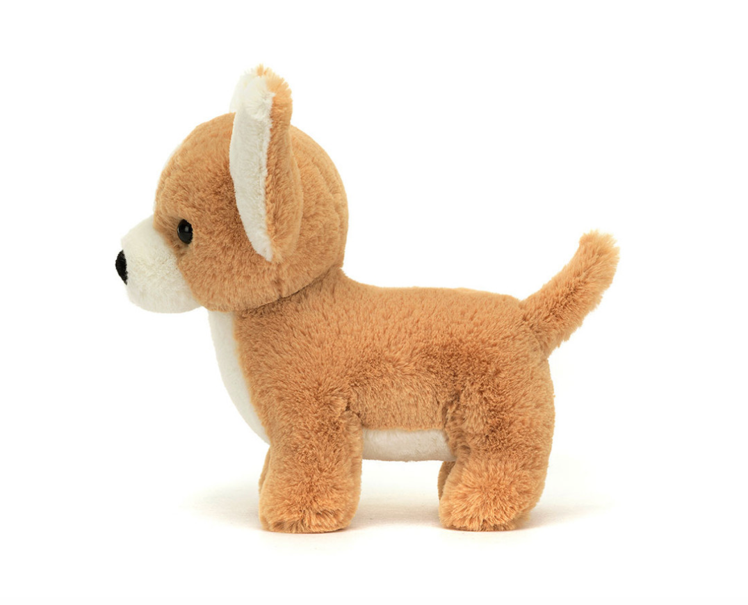 side view Isobel chihuahua jelly cats