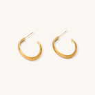 Four pairs of gold-plated stainless steel earrings including hoops and studs displayed on cream background