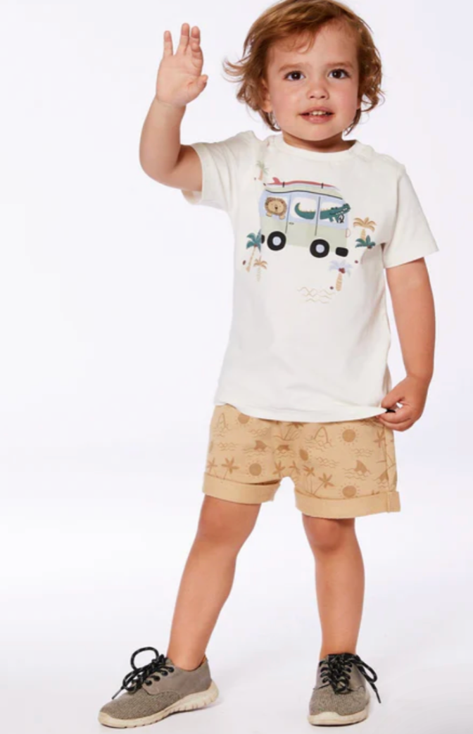 Boy wearing shorts and t-shirt with alligator