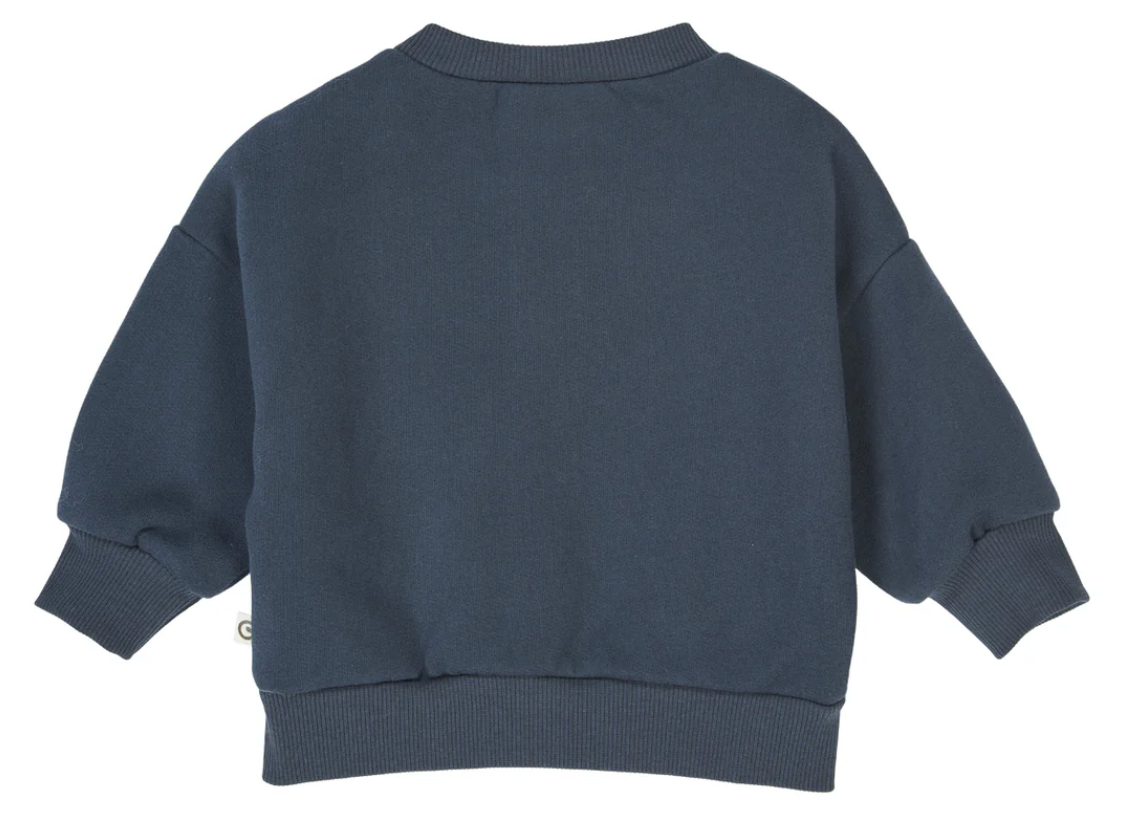 Back view of Green Cotton Group dark blue sweatshirt on a white background
