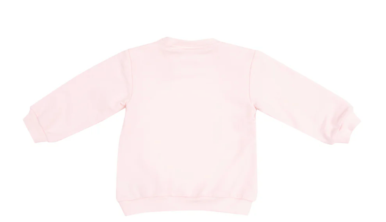 Light pink sweatshirt back 
