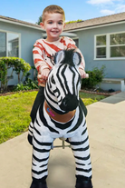 Little boy riding a zebra pony cycle